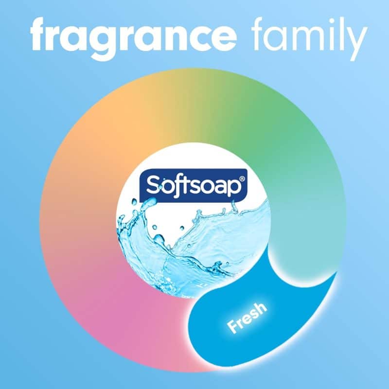 Softsoap Liquid Hand Soap - Image 10