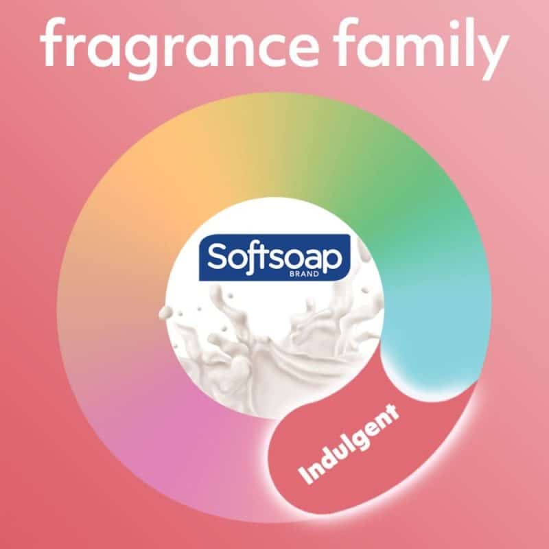 Softsoap Liquid Hand Soap - Image 36