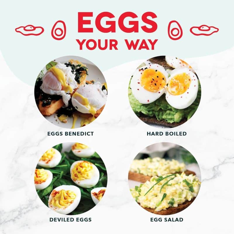DASH Rapid Egg Cooker - Image 7
