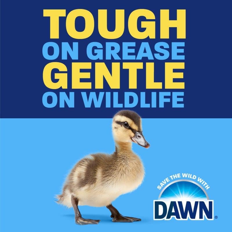 Dawn EZ-Squeeze Ultra Dish Soap - Image 6
