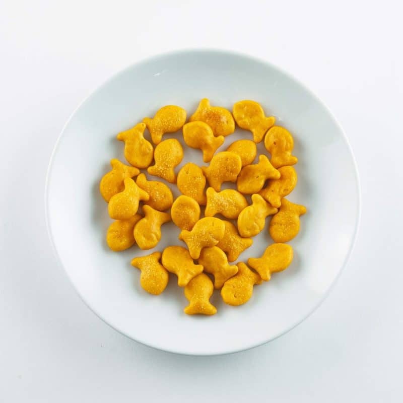 Goldfish Snack Box - Image 114