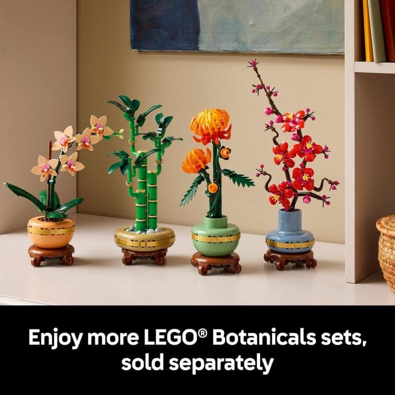 LEGO Botanicals Mini Orchid (10343) - Image 7