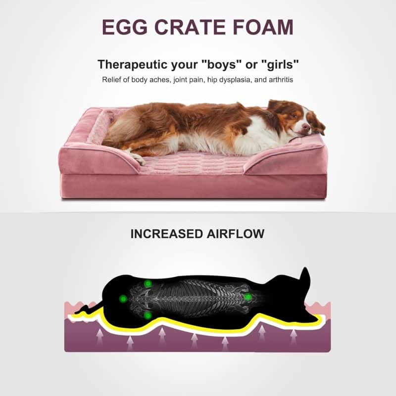 FURTIME Orthopedic Dog Bed for Extra Large Dogs - Image 19