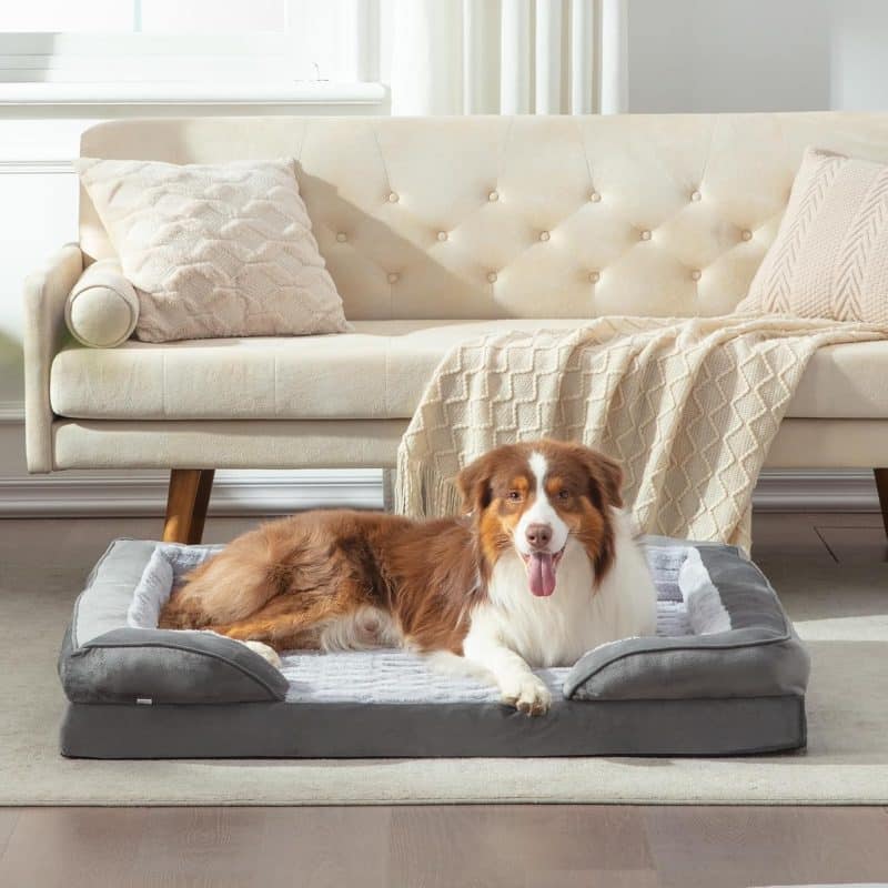 FURTIME Orthopedic Dog Bed for Extra Large Dogs - Image 70