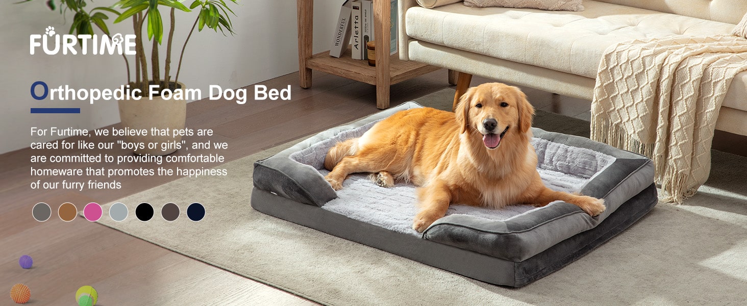 dog beds large sized dog bed medium size dog beds a dogs beds &amp;amp;amp; furniture human dog bed