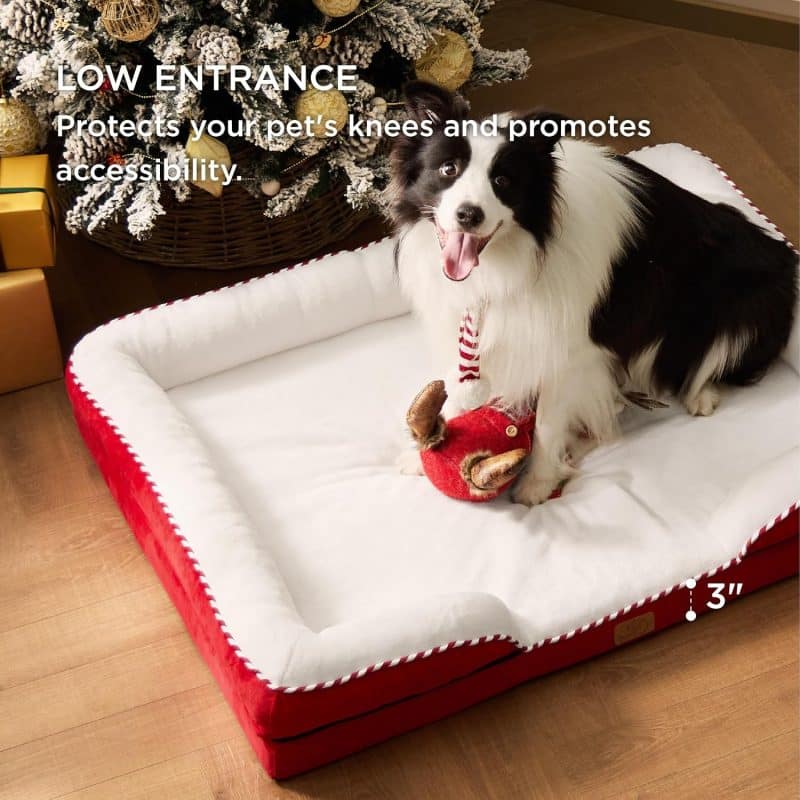 Bedsure Orthopedic Dog Bed - Image 254