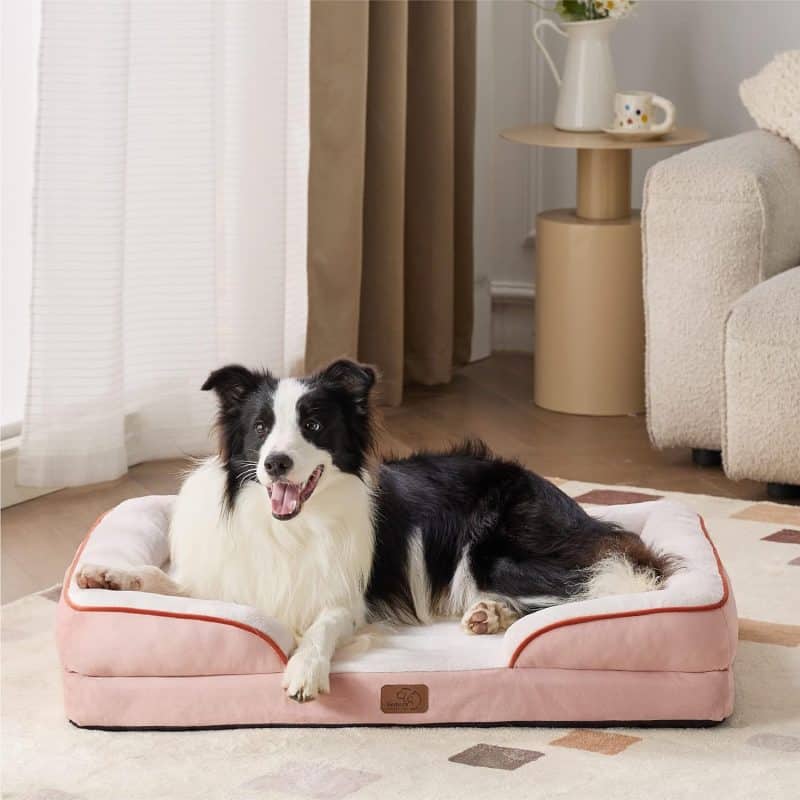 Bedsure Orthopedic Dog Bed - Image 259