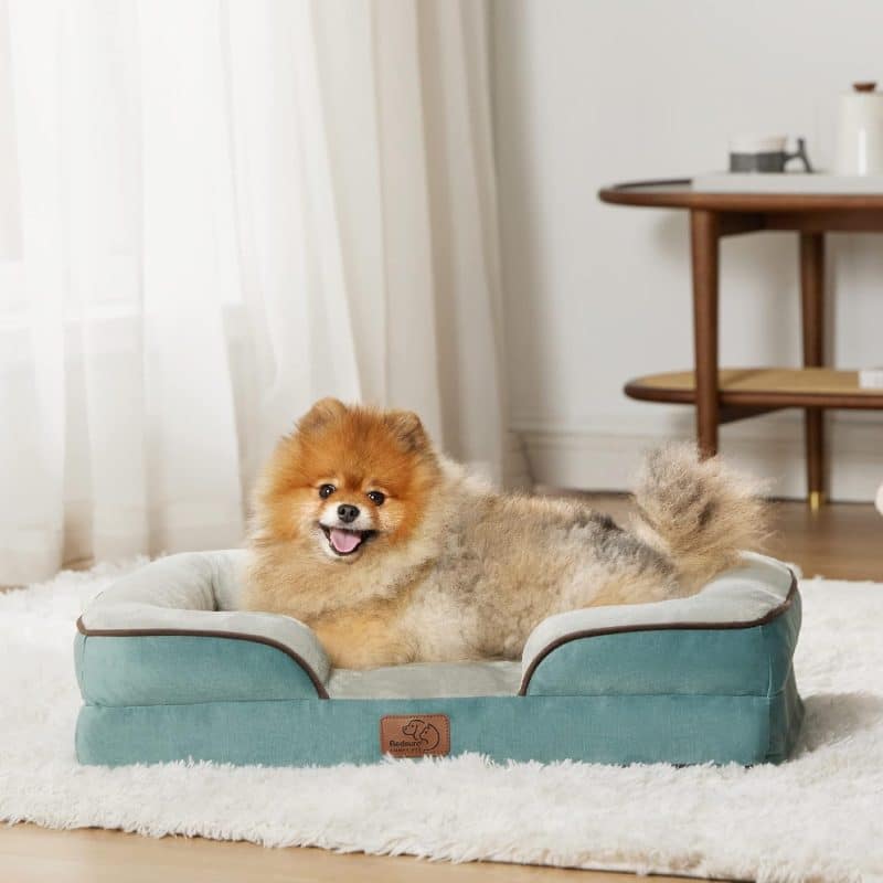 Bedsure Orthopedic Dog Bed - Image 313