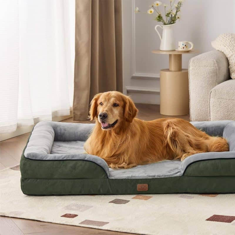 Bedsure Orthopedic Dog Bed - Image 448