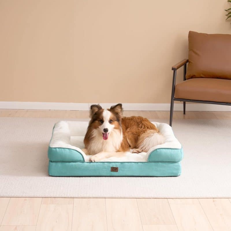 EHEYCIGA Orthopedic Dog Bed - Image 85