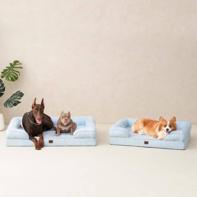 EHEYCIGA Orthopedic Dog Bed - Image 121