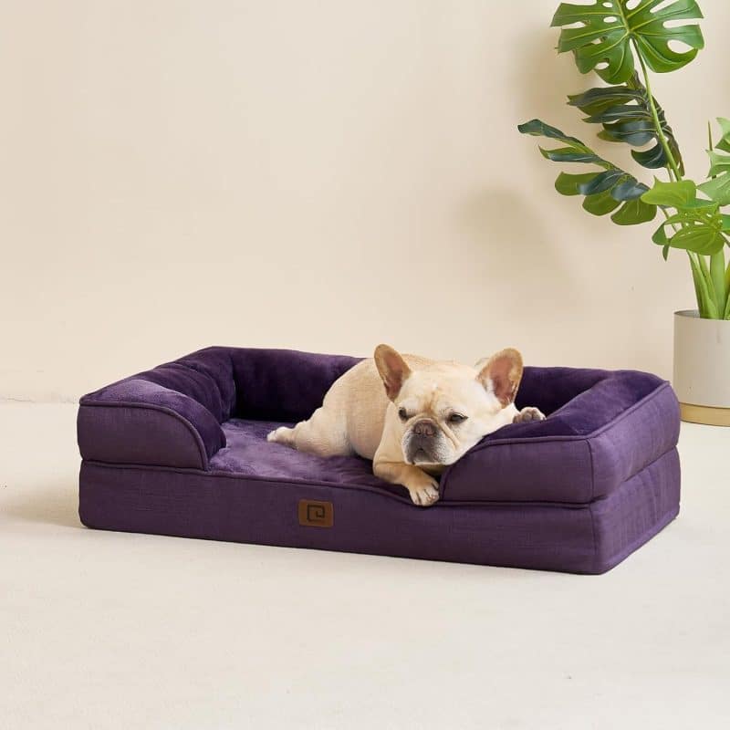 EHEYCIGA Orthopedic Dog Bed - Image 154