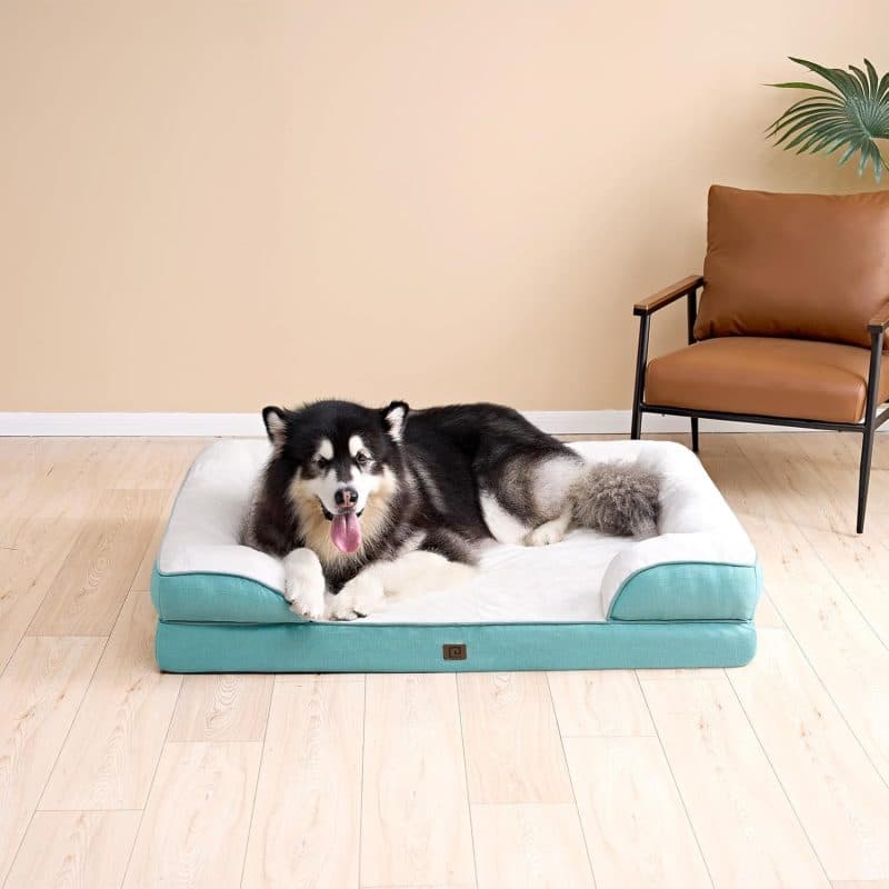 EHEYCIGA Orthopedic Dog Bed - Image 165