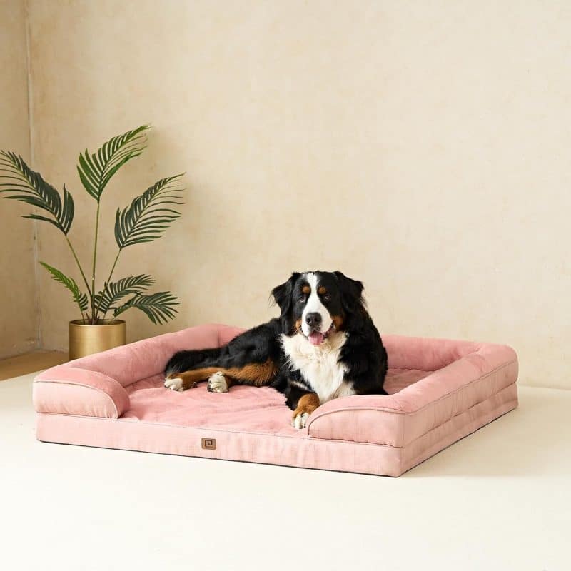 EHEYCIGA Orthopedic Dog Bed - Image 189