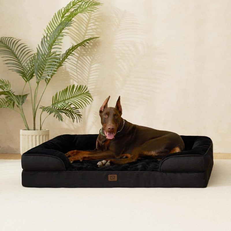 EHEYCIGA Orthopedic Dog Bed - Image 194