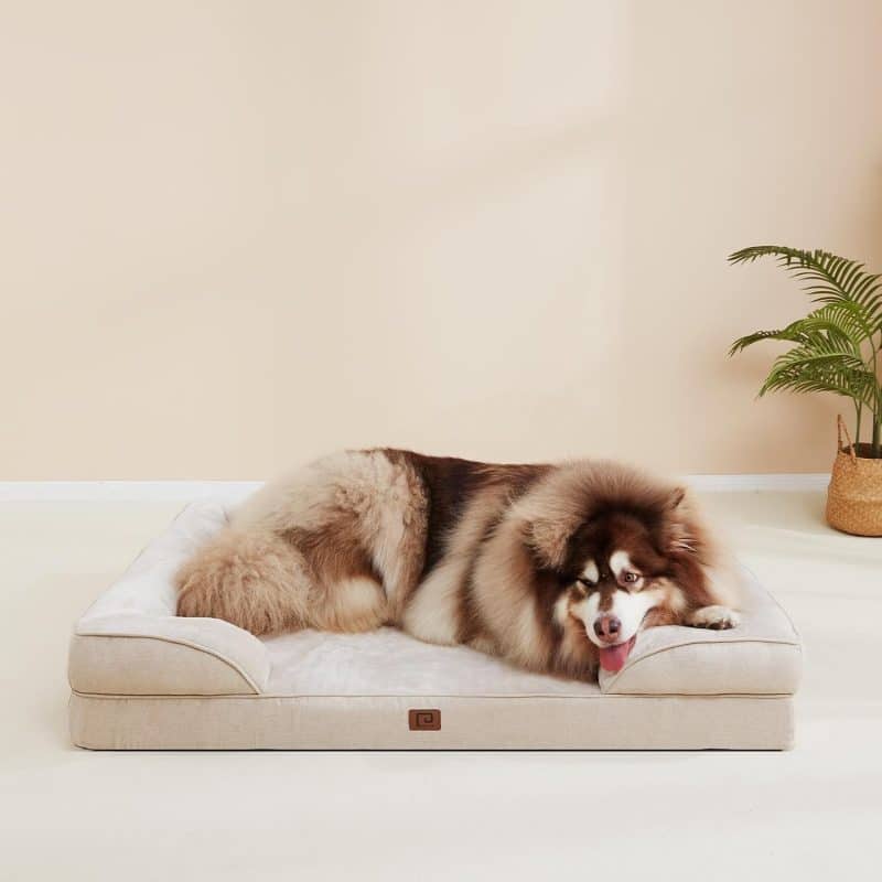 EHEYCIGA Orthopedic Dog Bed - Image 199