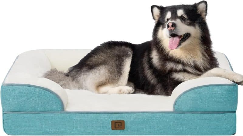 EHEYCIGA Orthopedic Dog Bed - Image 207