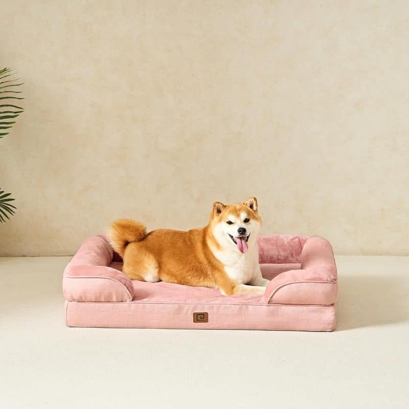 EHEYCIGA Orthopedic Dog Bed - Image 223