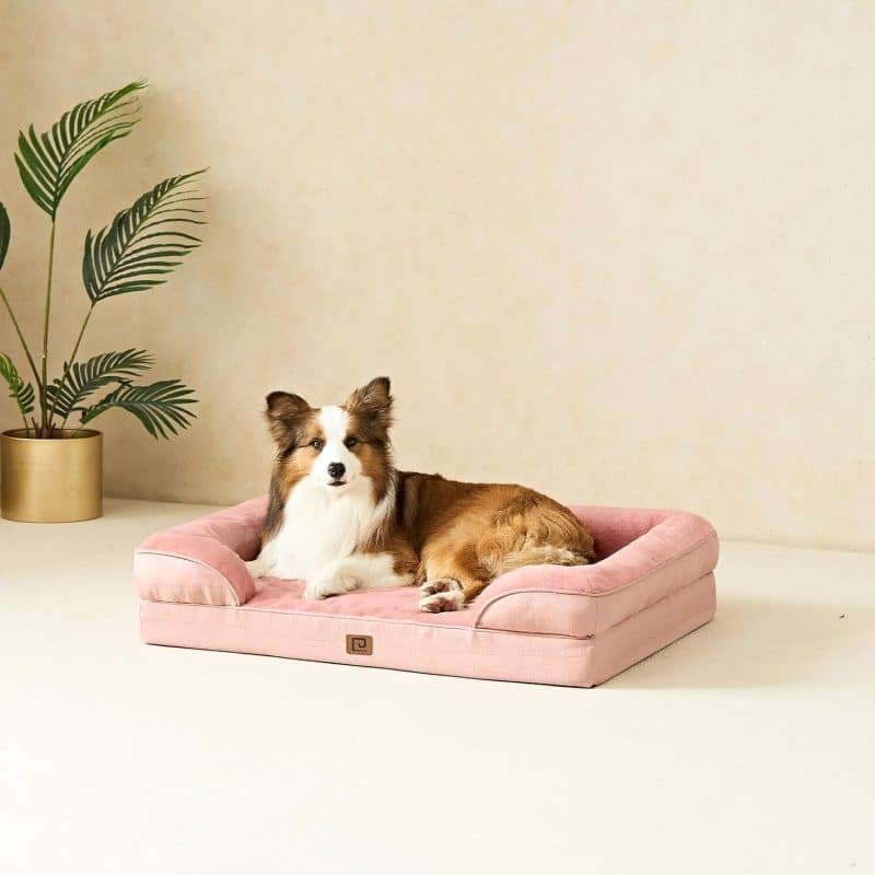 EHEYCIGA Orthopedic Dog Bed - Image 232