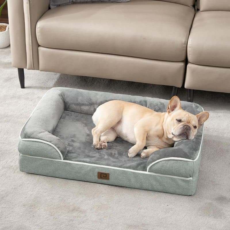 EHEYCIGA Orthopedic Dog Bed - Image 245