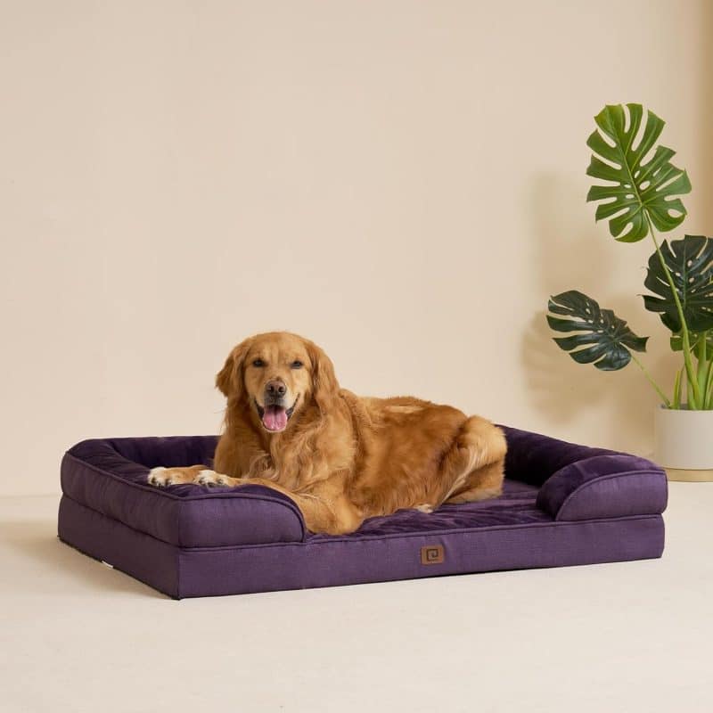 EHEYCIGA Orthopedic Dog Bed - Image 264