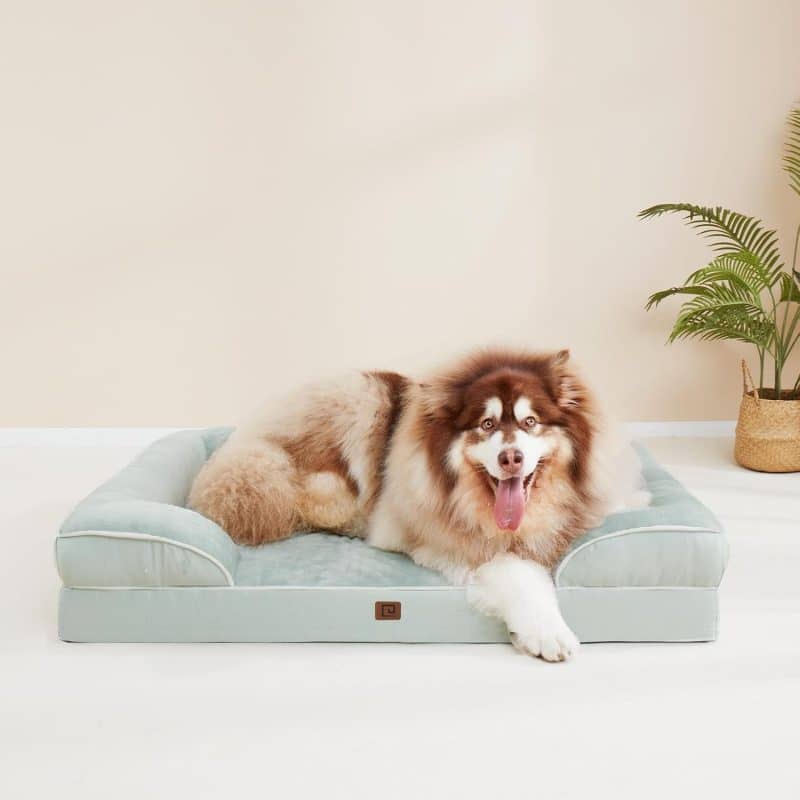 EHEYCIGA Orthopedic Dog Bed - Image 301