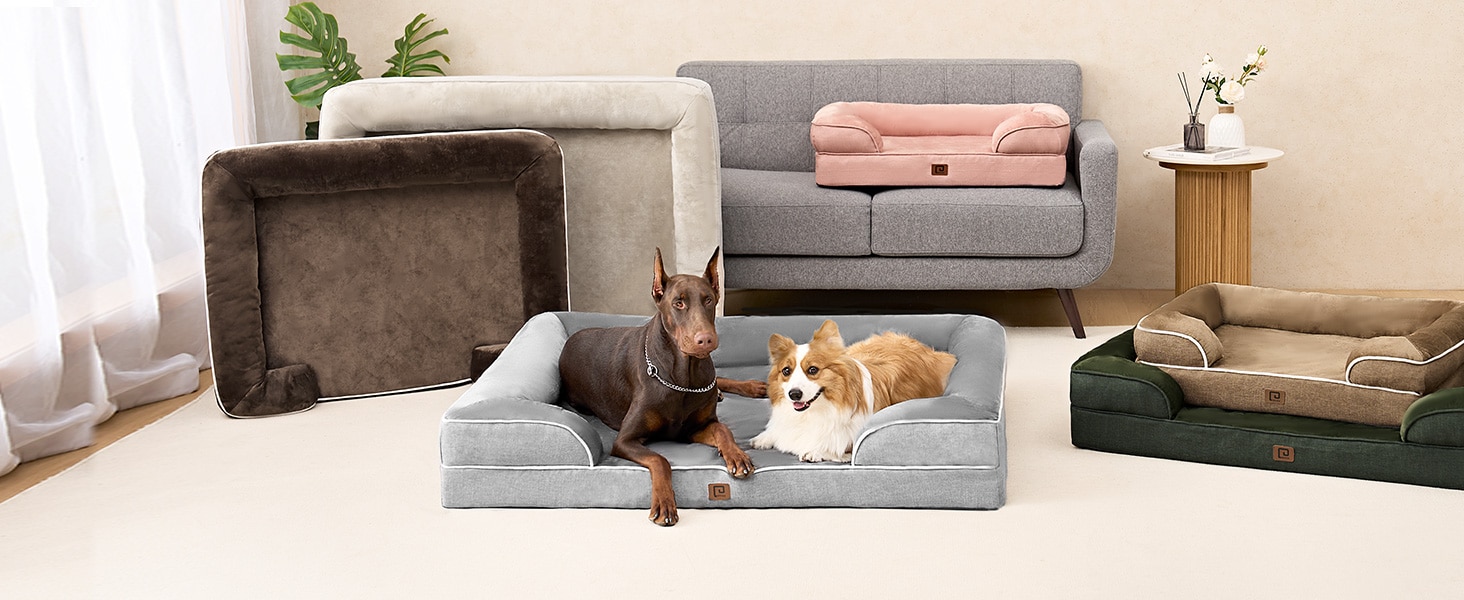 dog sofa bed