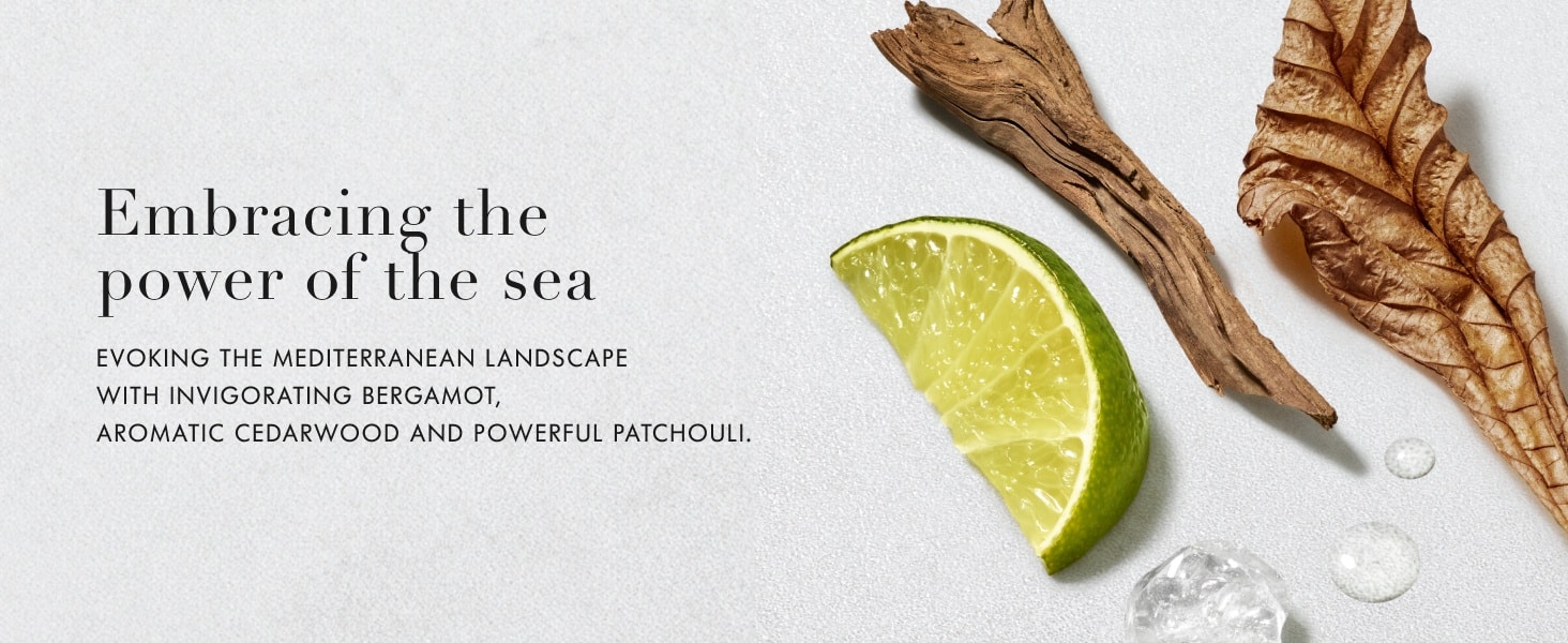  Armani beauty - Acqua di Gio - Eau de Toilette ingredients