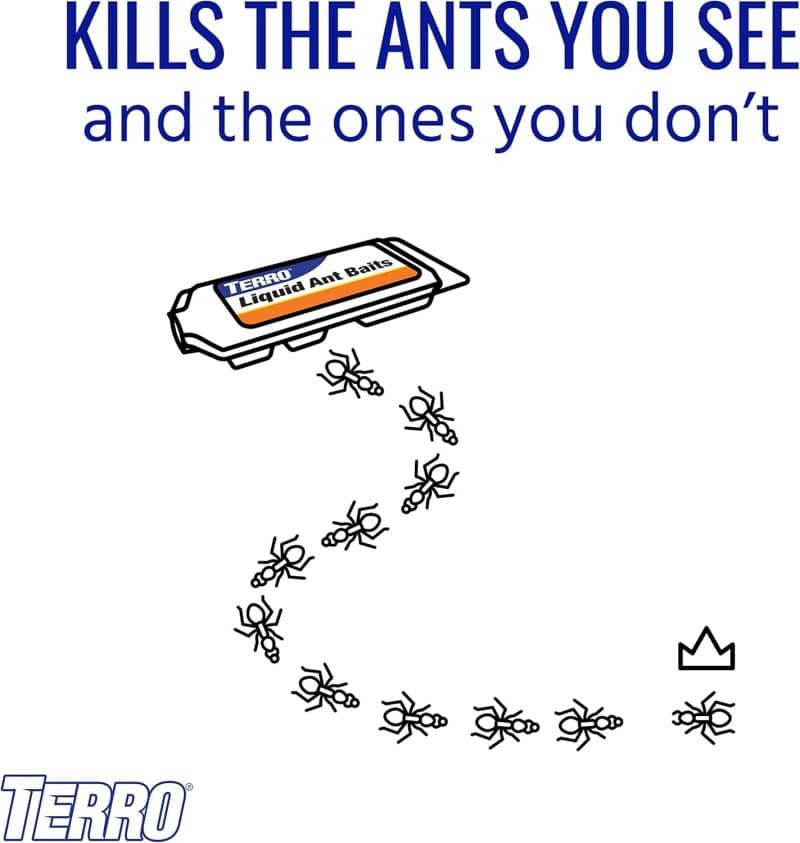 TERRO T300B Liquid Ant Killer - Image 7